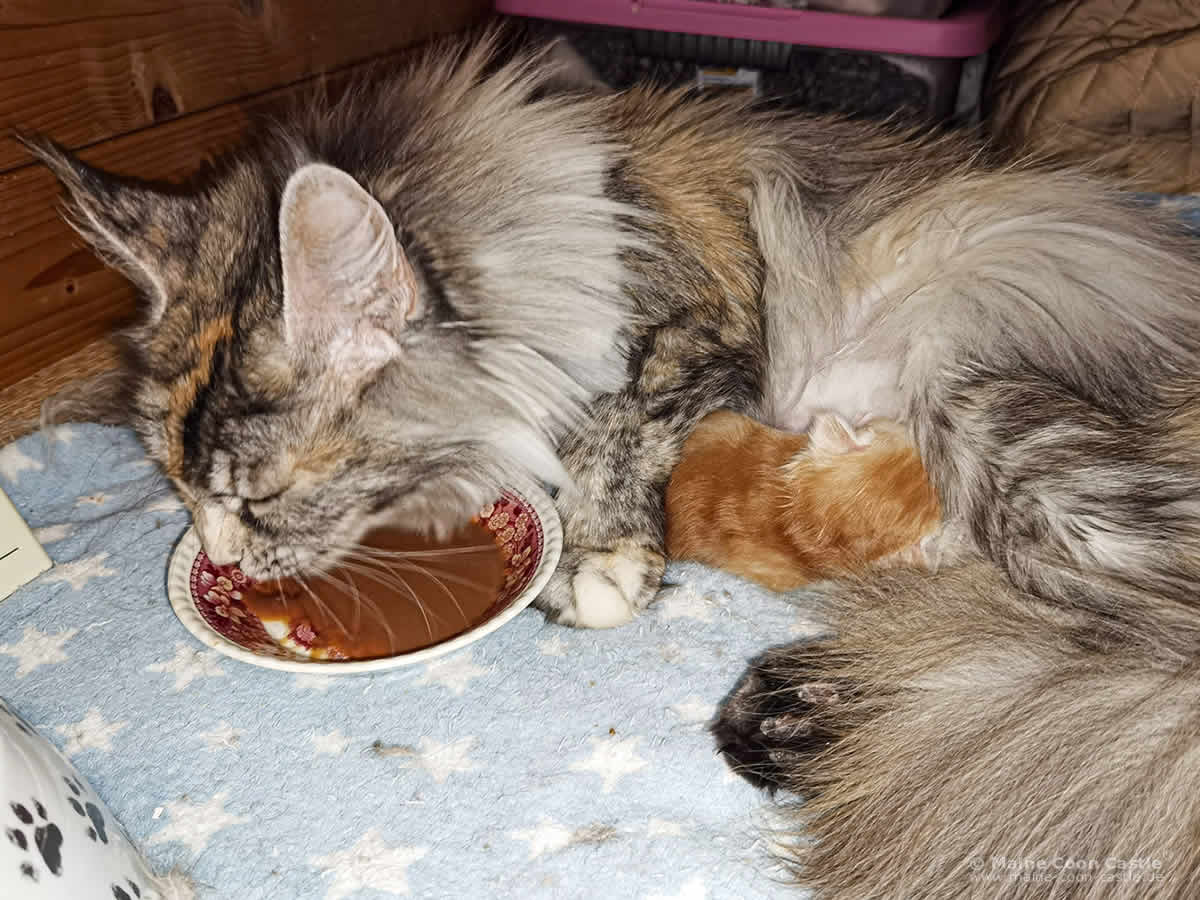 Daisy mit ihrem Sohn Zain Daisy mit ihrem Sohn Zain