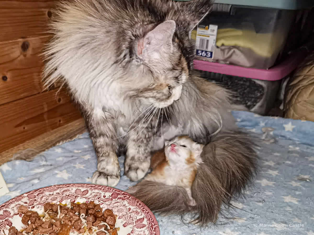 Daisy mit ihrem Sohn Zain Daisy mit ihrem Sohn Zain