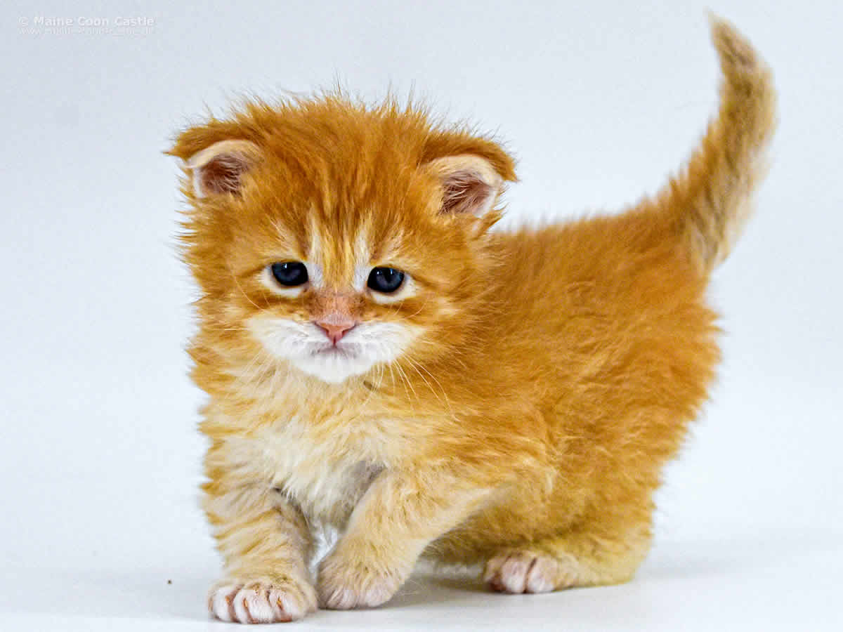 Adam 4 Wochen Adam 4 Wochen