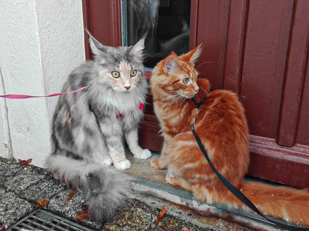 Lotti und Ray Lotti und Ray