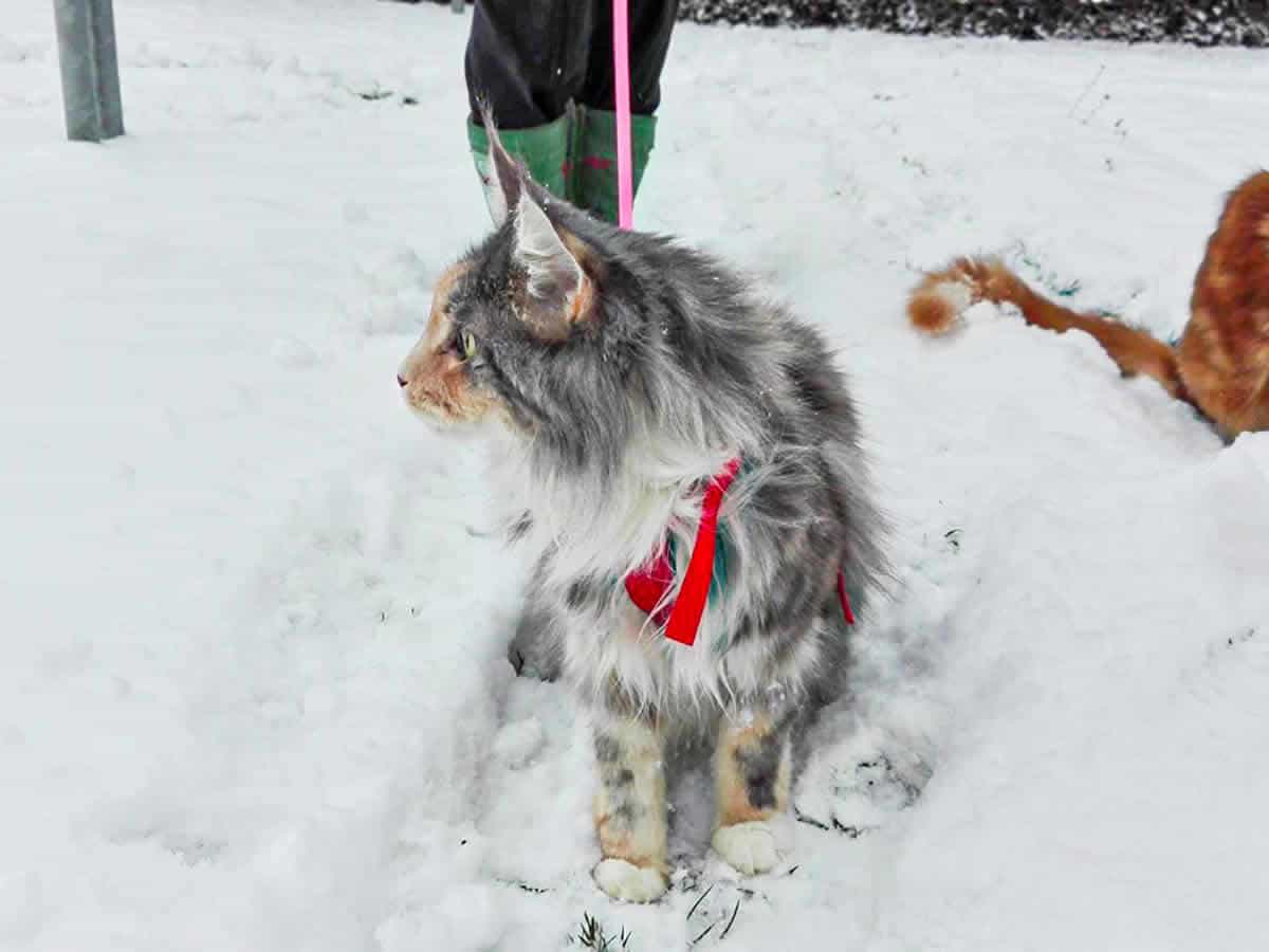 Lotti und ein Stückchen Ray Lotti und ein Stückchen Ray