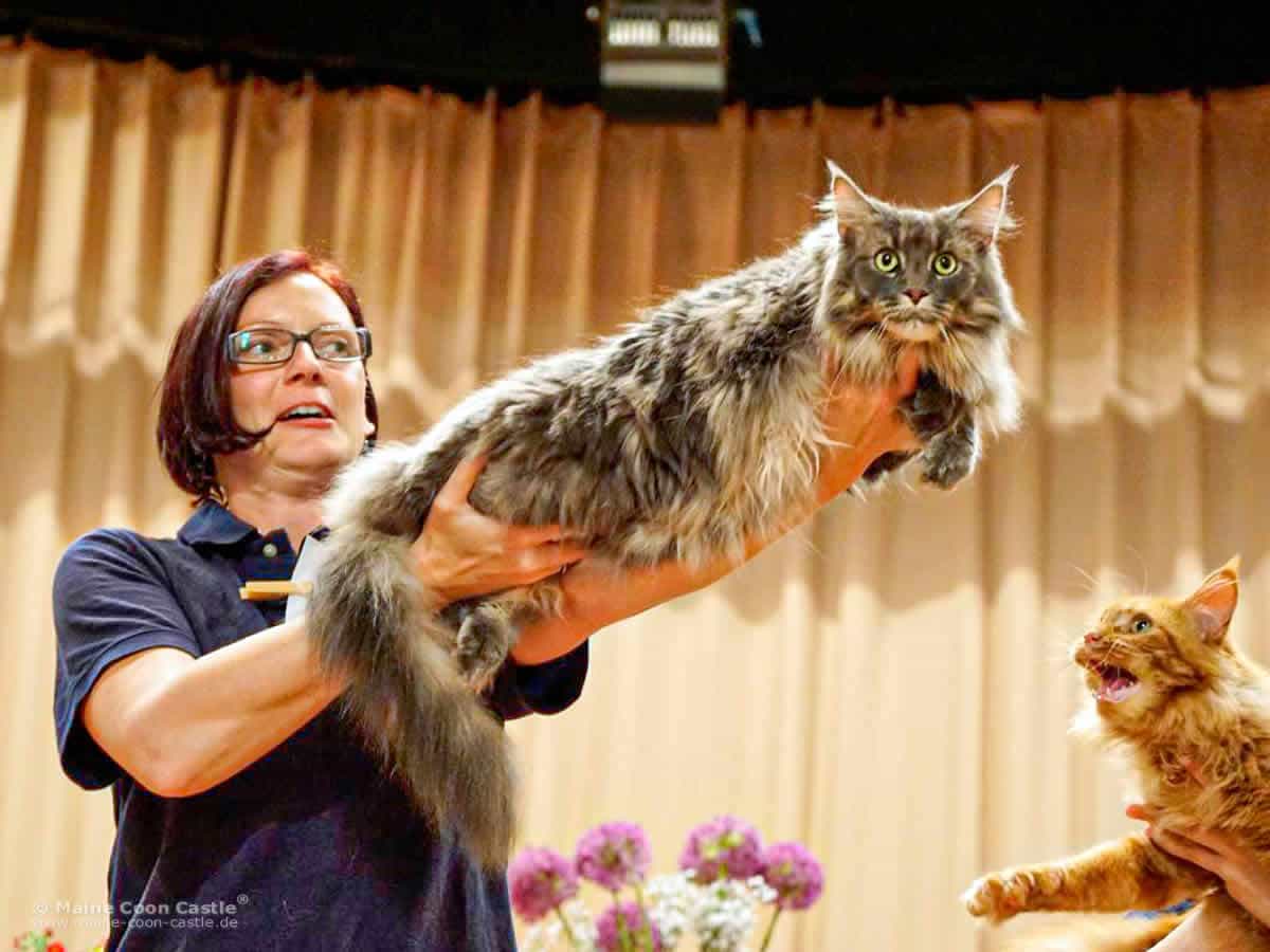 Perfekte Präsentation. Yvonne und Josy Perfekte Präsentation. Yvonne und Josy