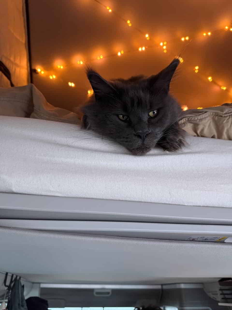 photo 2025 04 16 01 28 10