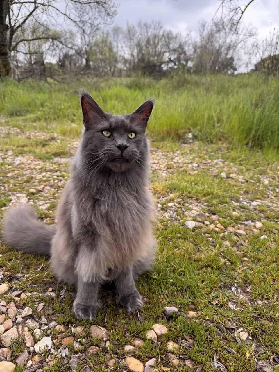 photo 2025 04 16 01 28 35