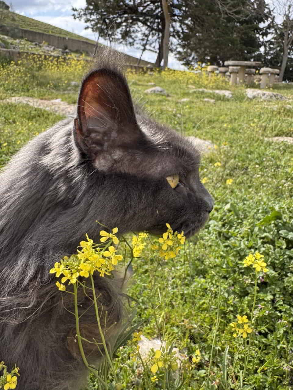 photo 2025 04 16 01 28 43