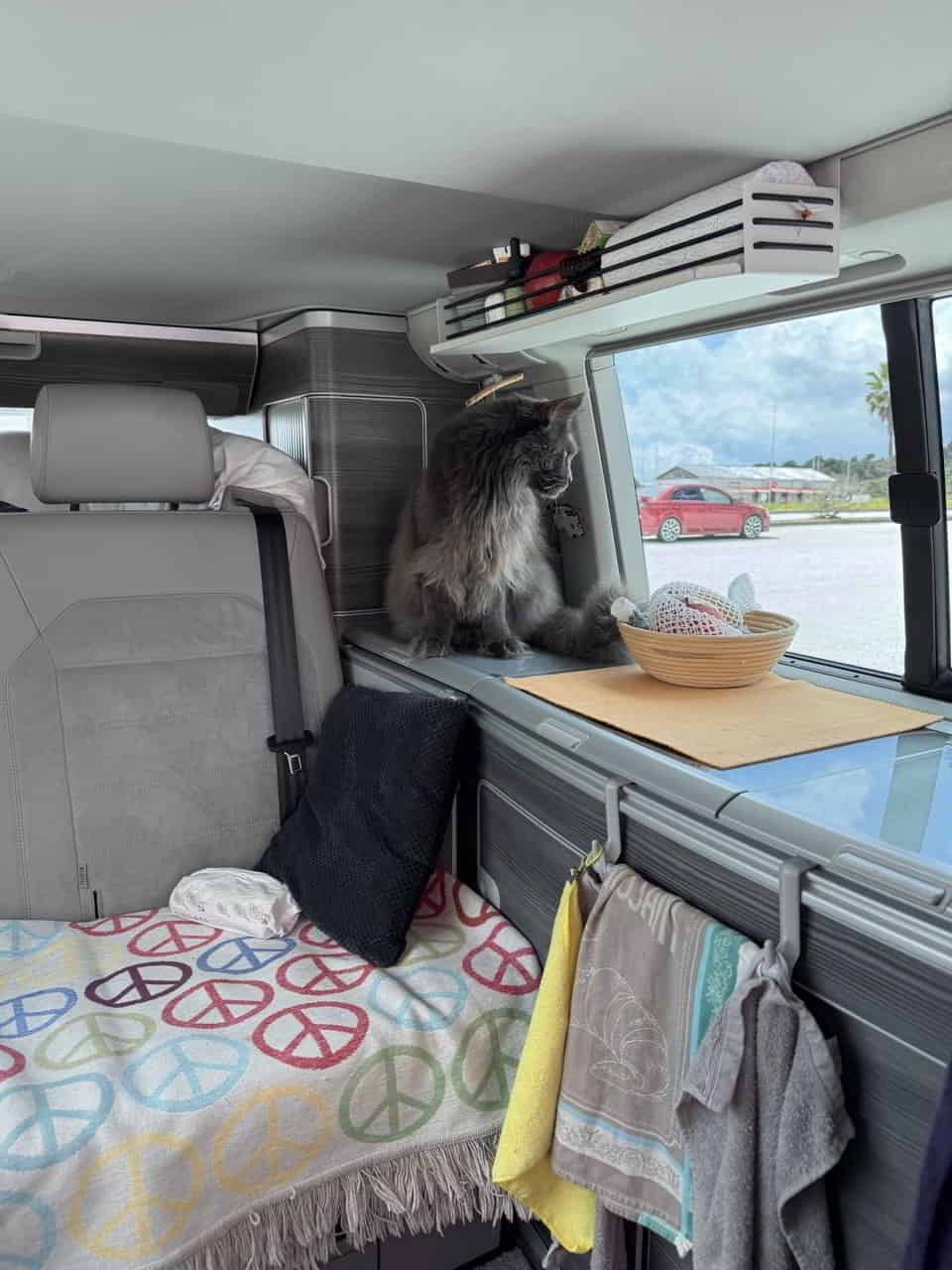 photo 2025 04 16 01 29 04