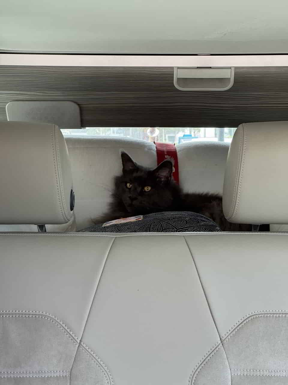 photo 2025 04 16 01 29 11