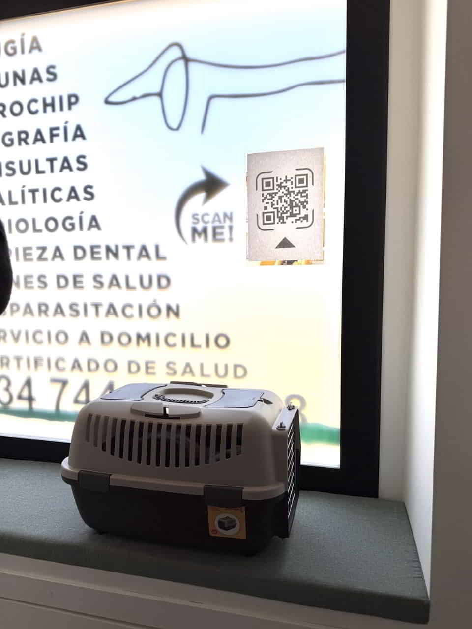 photo 2025 04 16 01 29 17