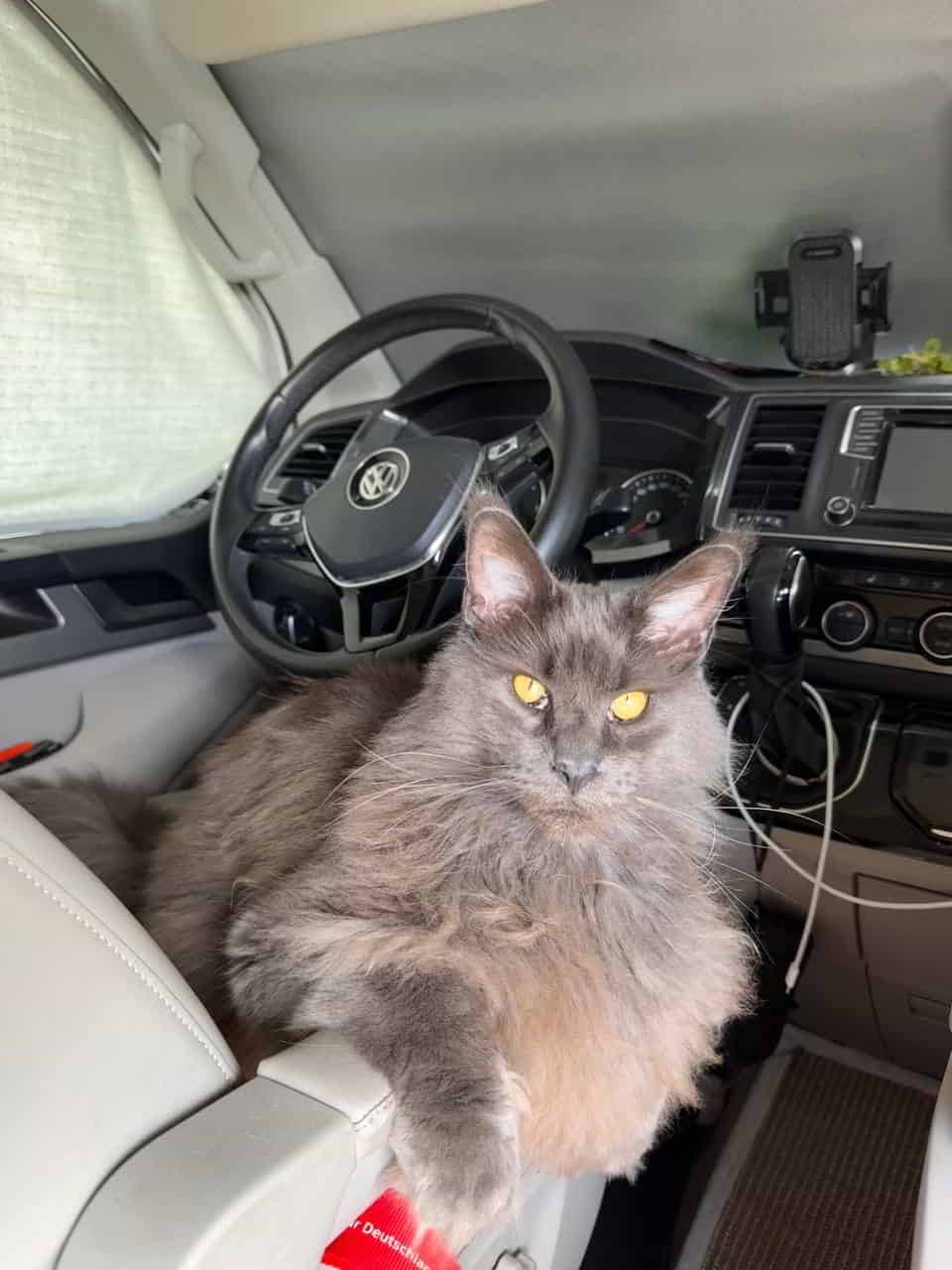 photo 2025 04 17 17 49 36