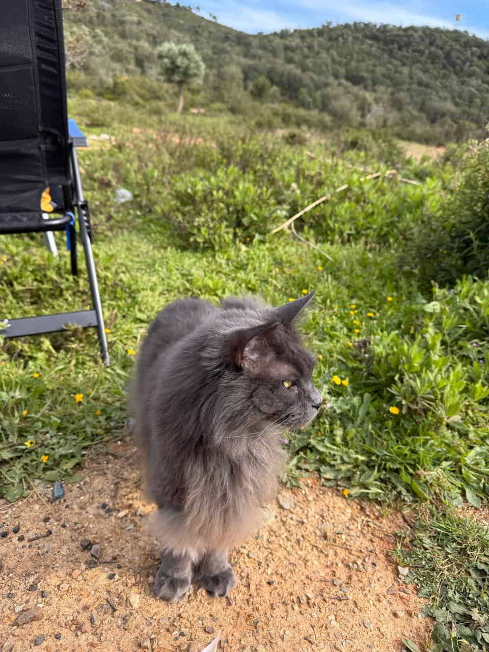 photo 2025 04 17 17 49 38