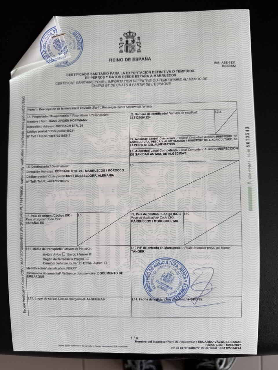 Certificado sanitario para la exportación definitiva o temporal de perros y gatos desde España a Marruecos