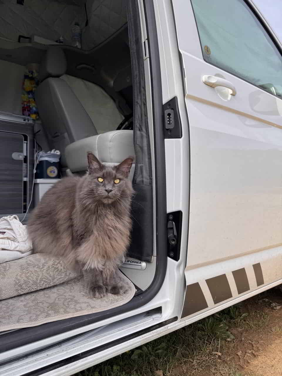 photo 2025 04 17 23 31 41