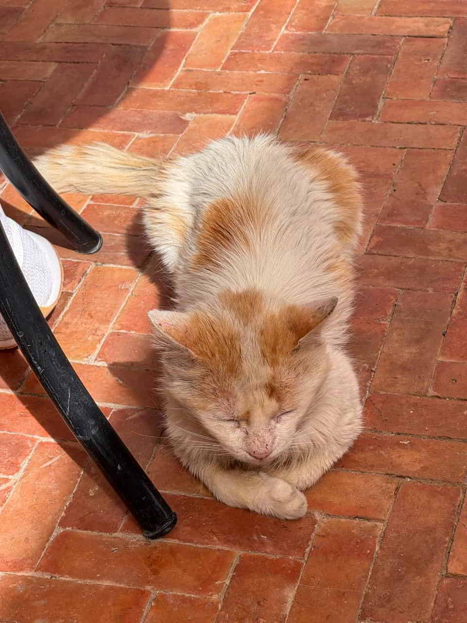 photo 2025 04 20 08 55 10