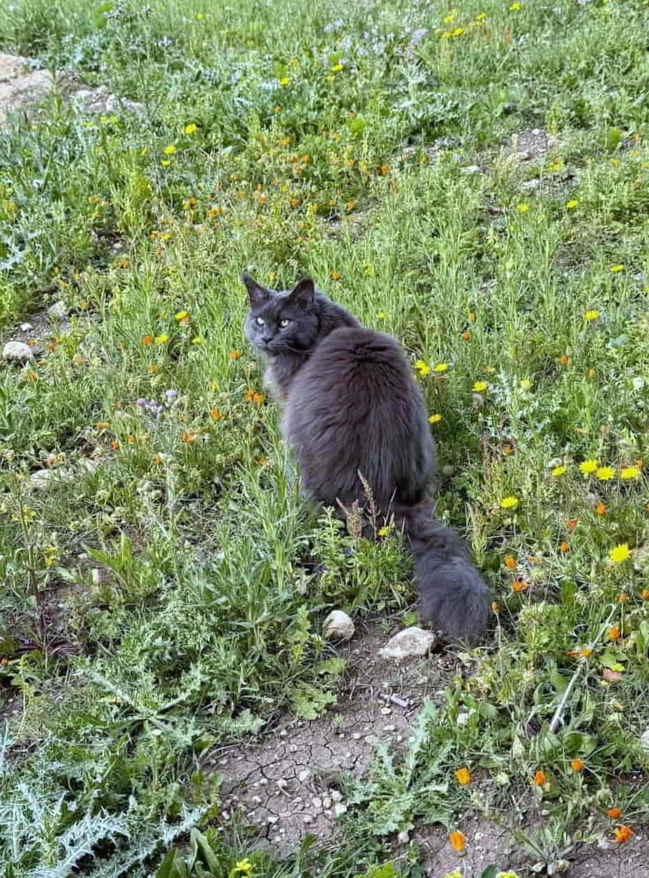 photo 2025 04 20 08 55 15