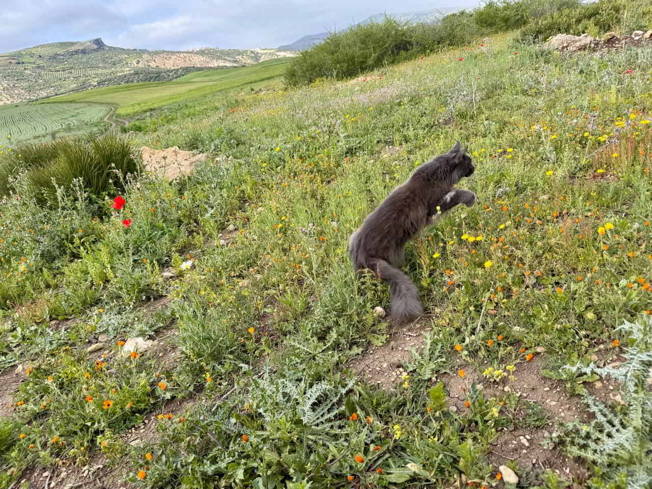 photo 2025 04 20 08 55 21