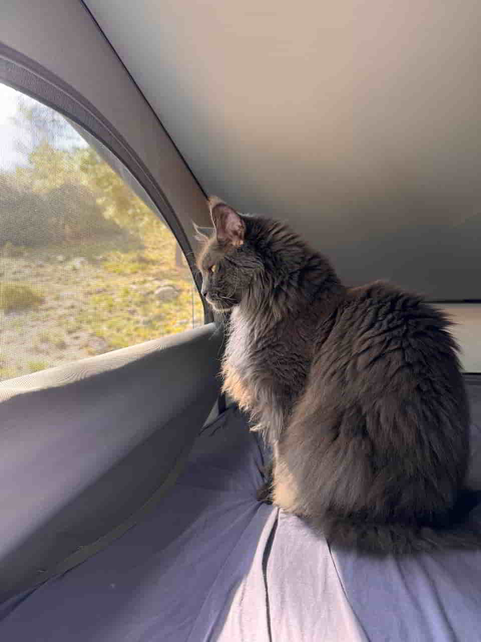 photo 2025 04 30 17 29 52