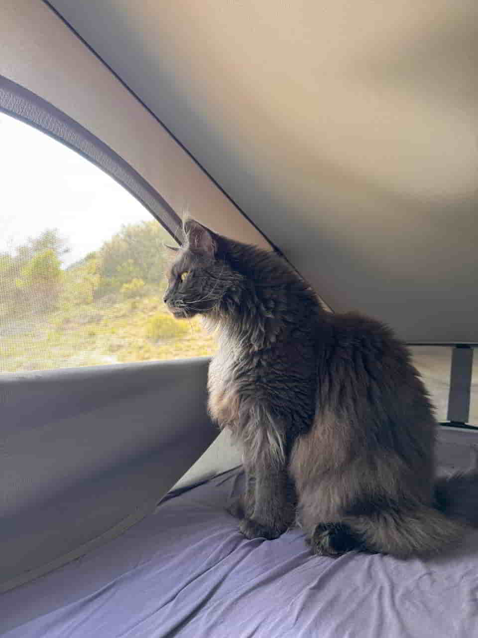 photo 2025 04 30 17 29 57