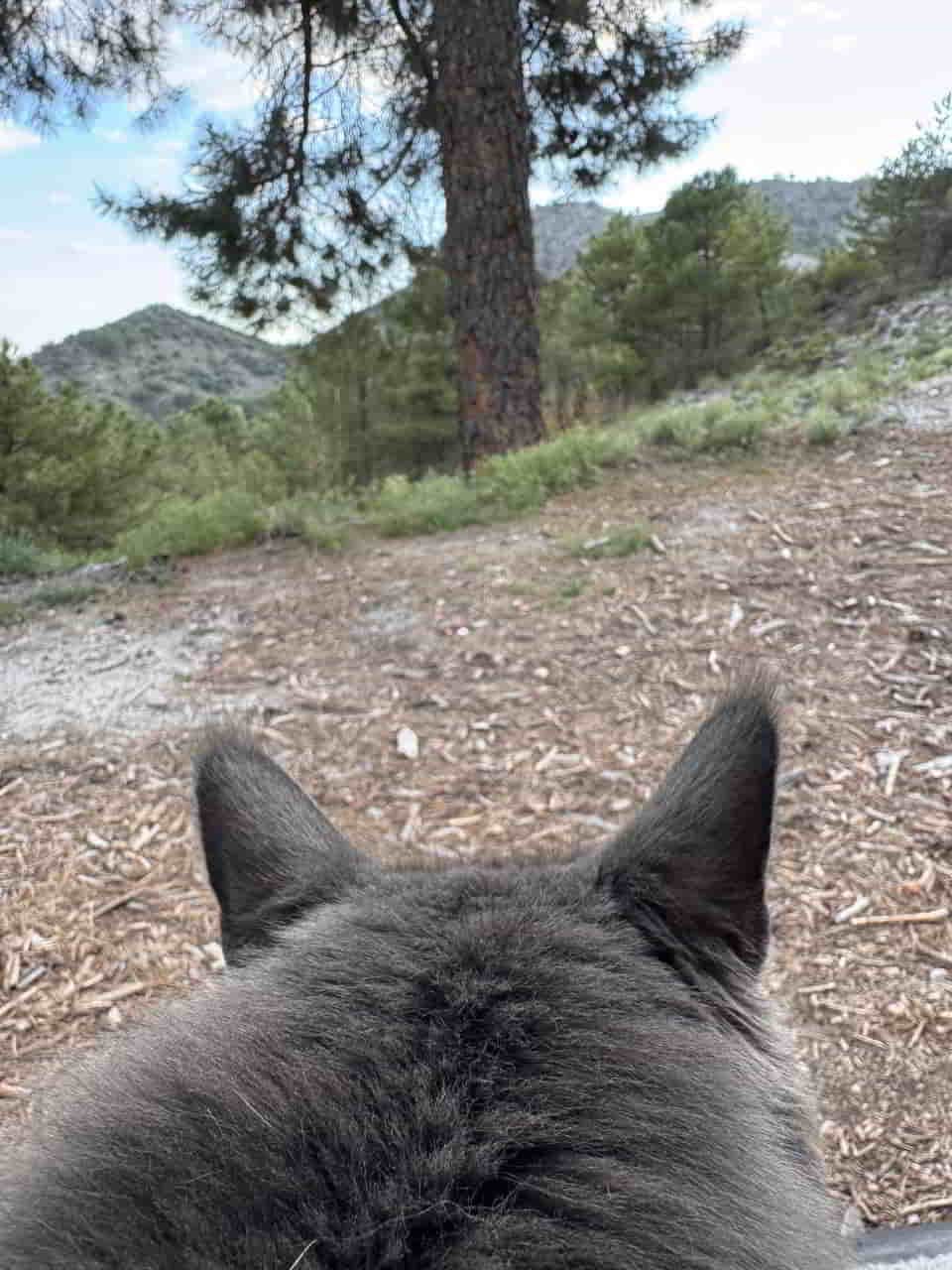 photo 2025 04 30 17 30 02