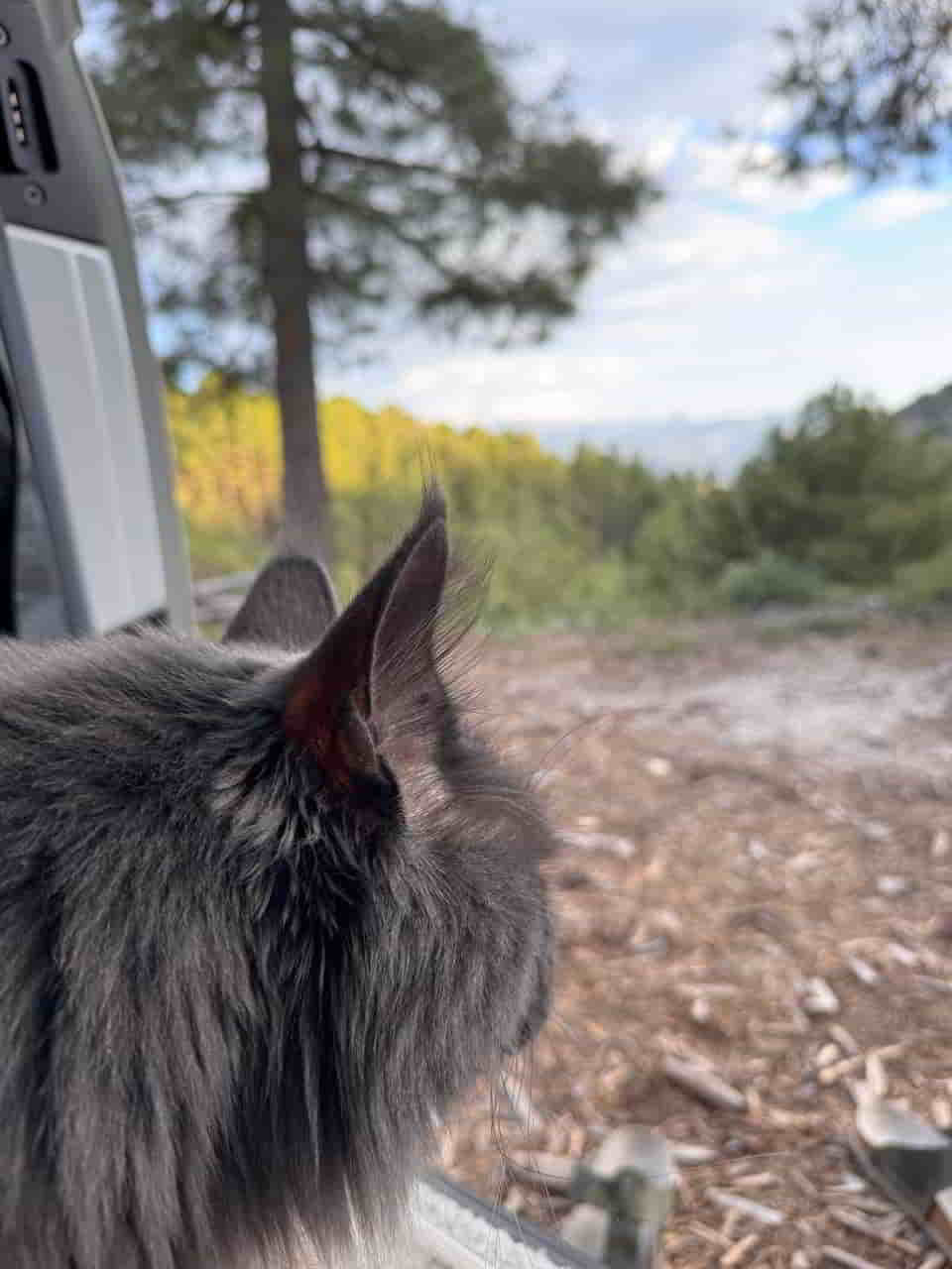 photo 2025 04 30 17 30 08