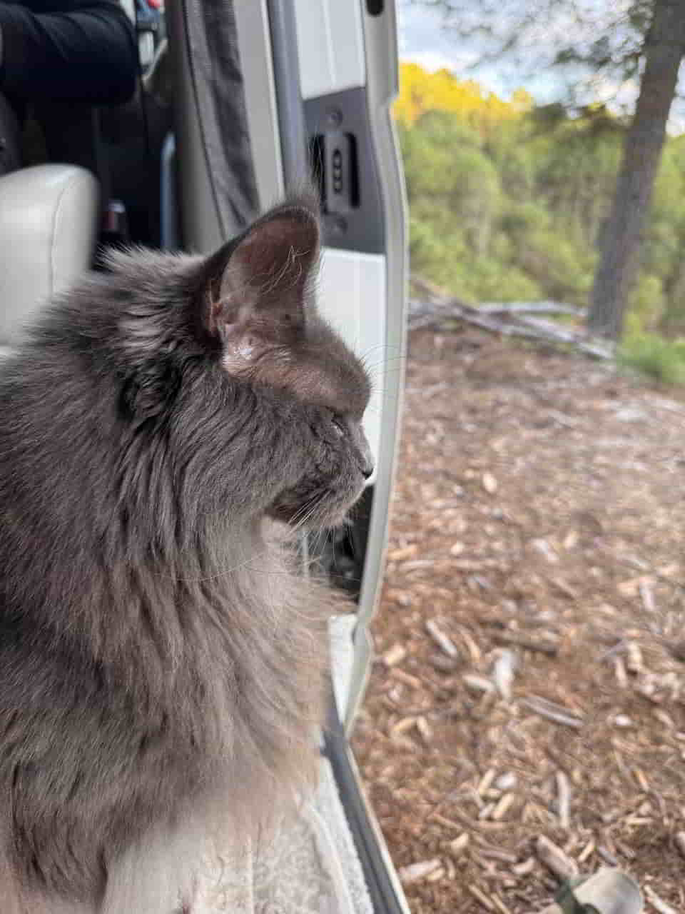 photo 2025 04 30 17 30 12