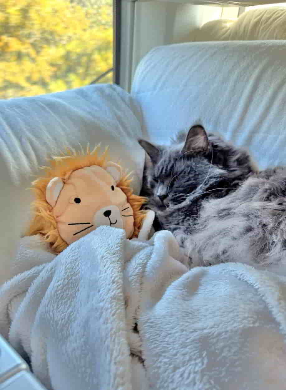 photo 2025 04 30 17 30 19