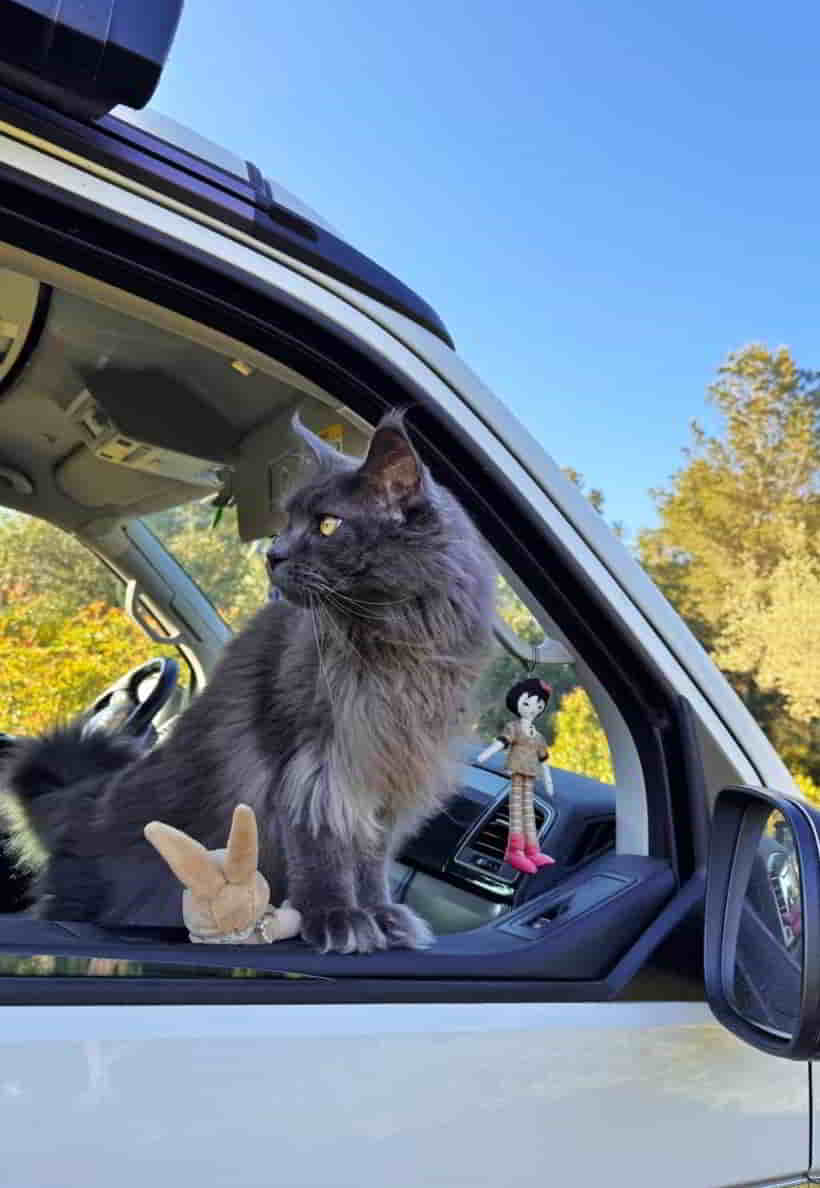 photo 2025 04 30 17 30 23