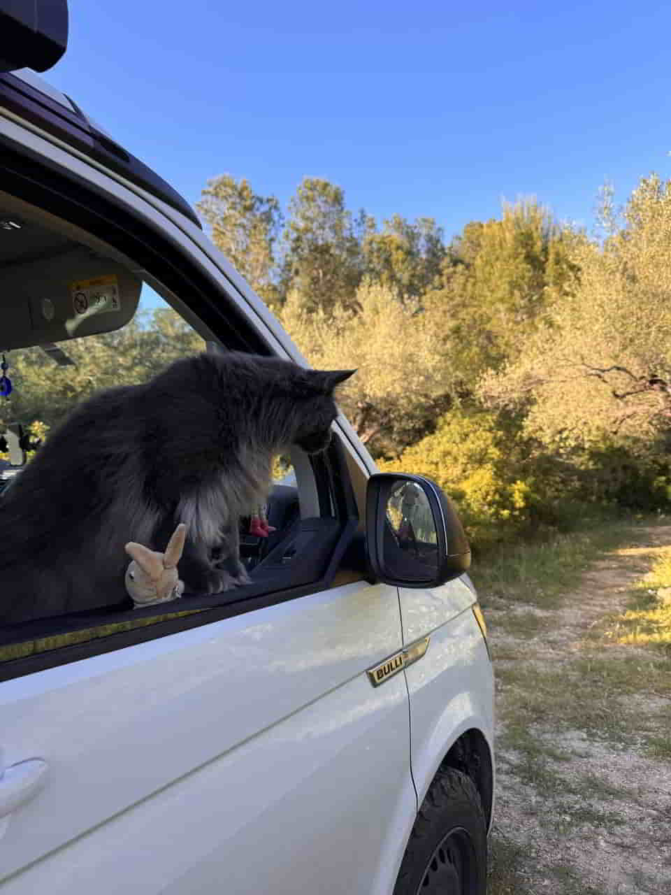 photo 2025 04 30 17 30 28