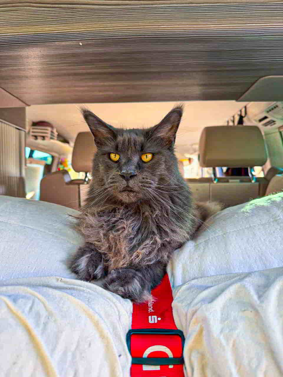 photo 2025 04 30 17 30 37