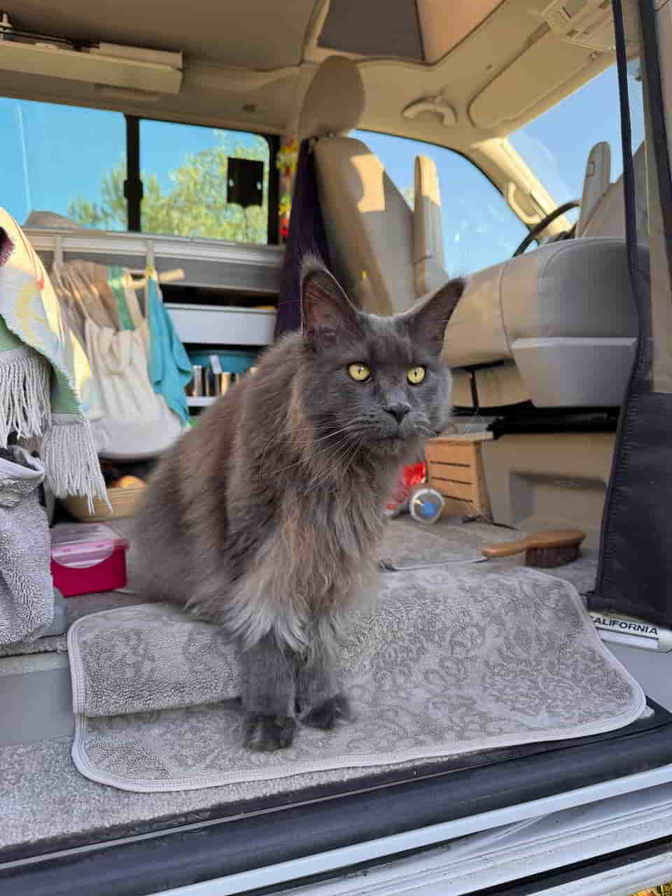 photo 2025 04 30 17 30 43