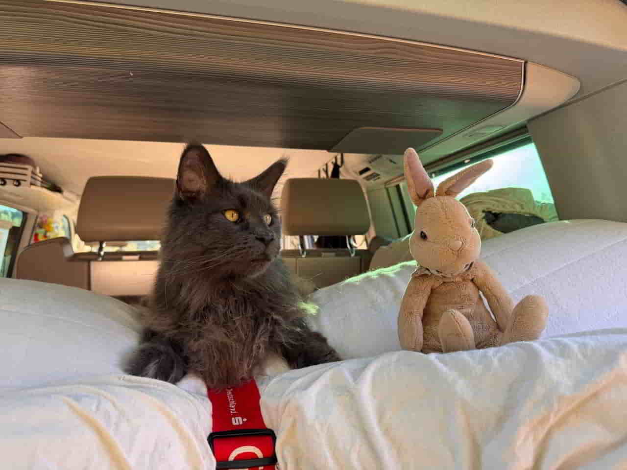 photo 2025 04 30 17 30 51