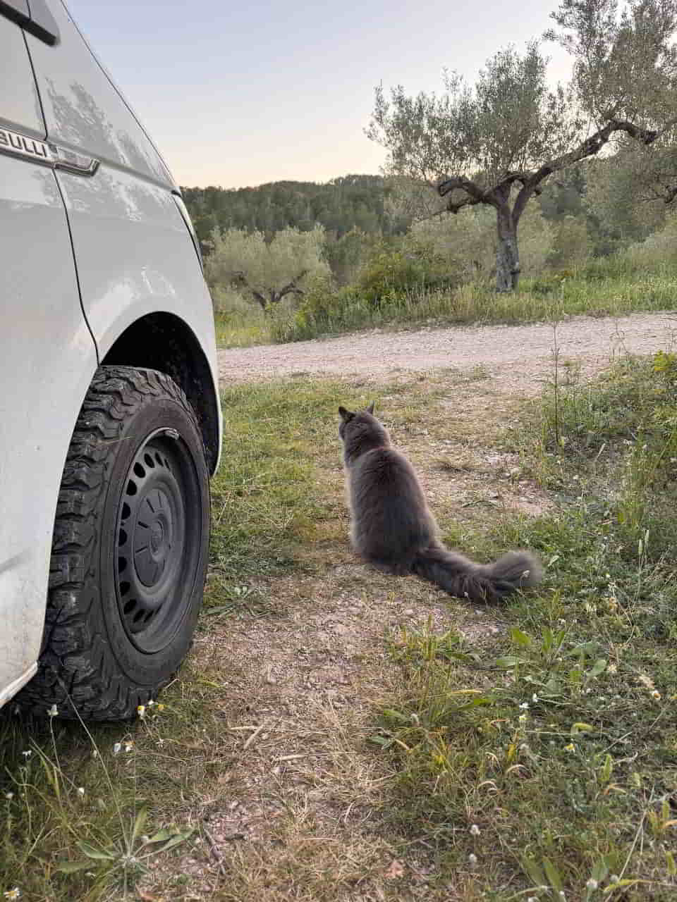 photo 2025 04 30 17 30 56