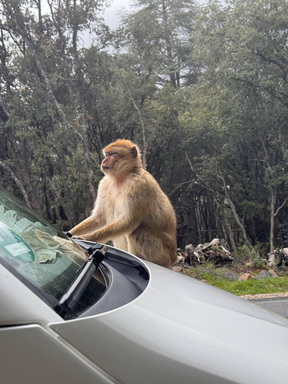 photo 2025 04 30 18 40 17