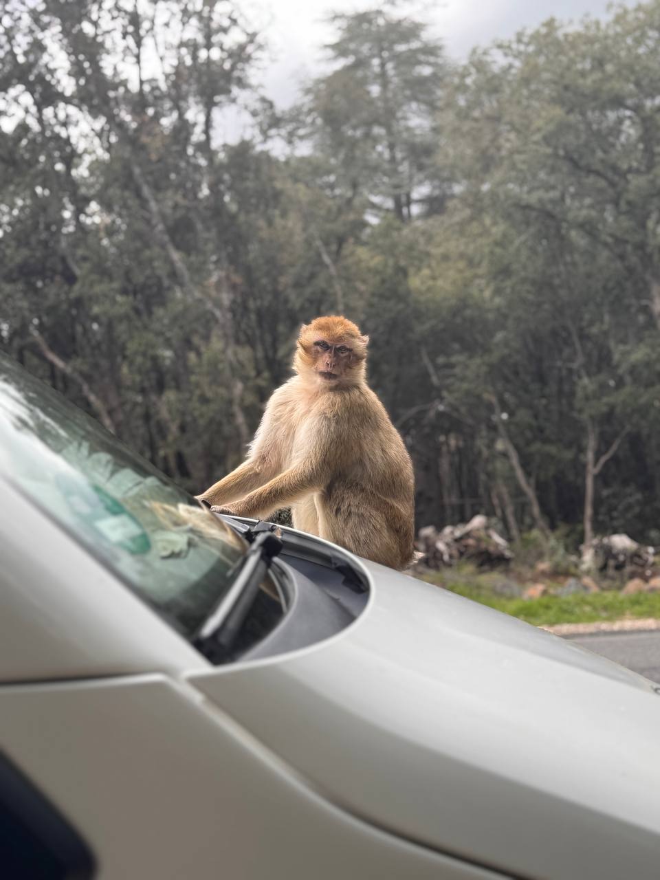 photo 2025 04 30 18 41 02