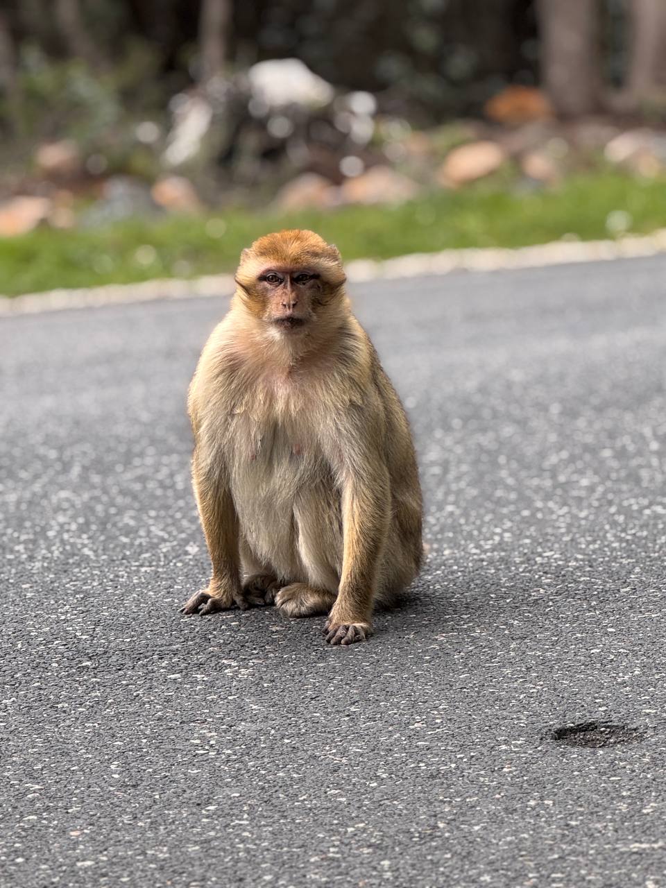 photo 2025 04 30 18 41 09