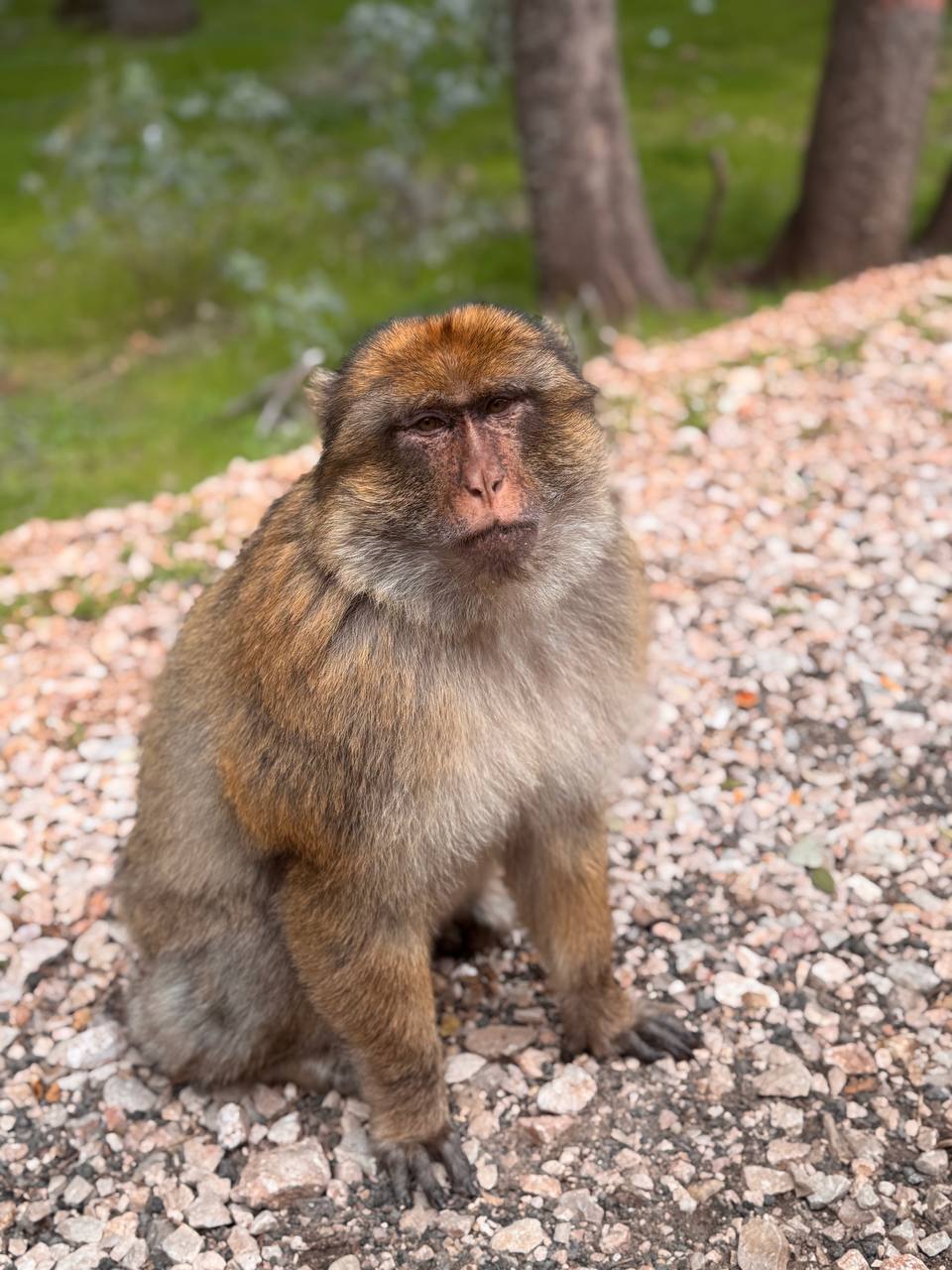 photo 2025 04 30 18 41 15