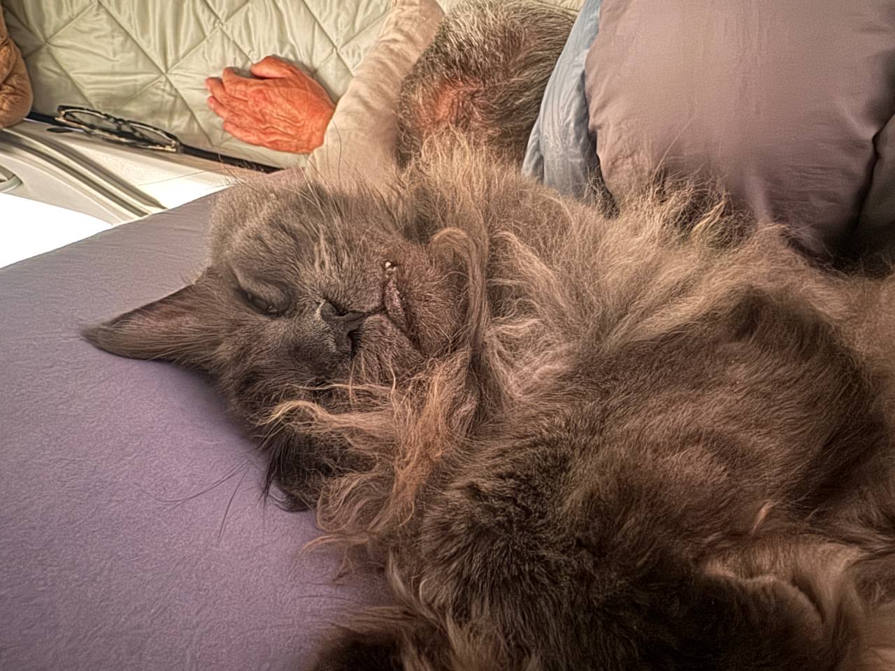 photo 2025 04 30 18 41 24