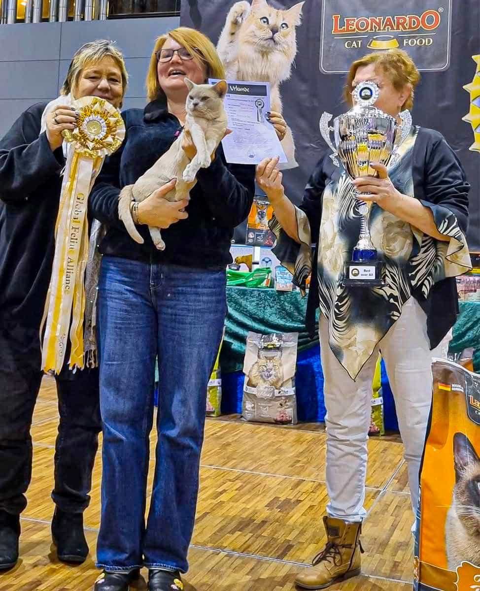 468478814 9671614539532648 446675456639346735 n