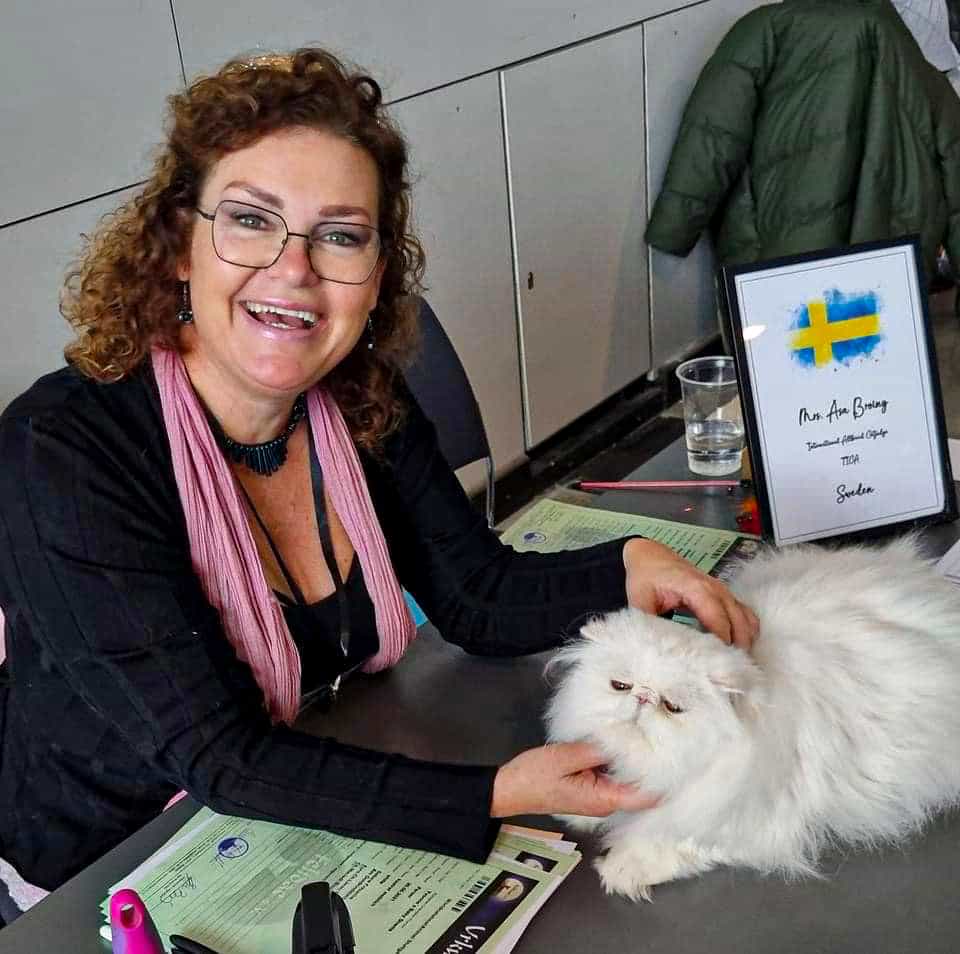 468509099 9671571202870315 395232149373910486 n