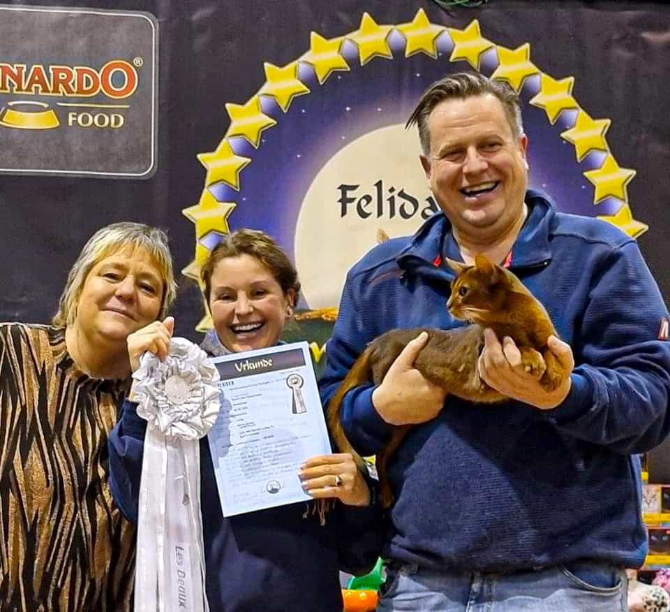 468562346 9671566149537487 8741195459679133145 n