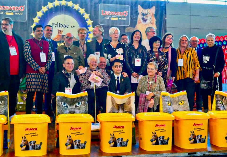 468818723 9671564602870975 1782141534034841345 n