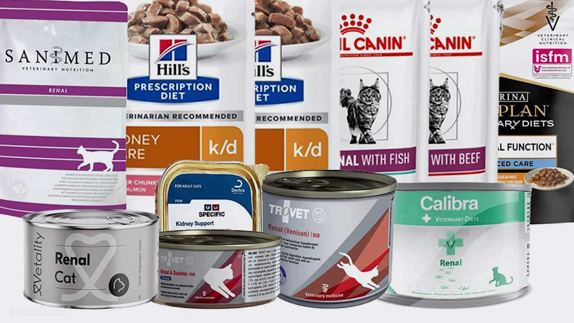 Die nierenkranke Katze richtig füttern Die nierenkranke Katze richtig füttern