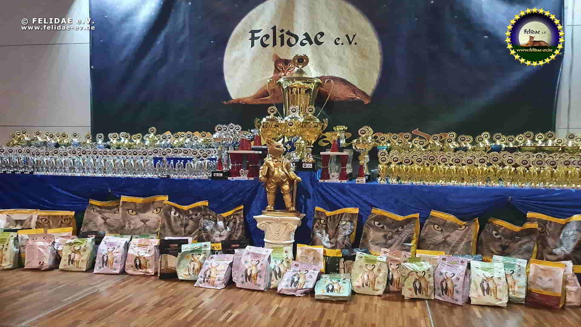Ausstellungen, Titel & Katzenvereine