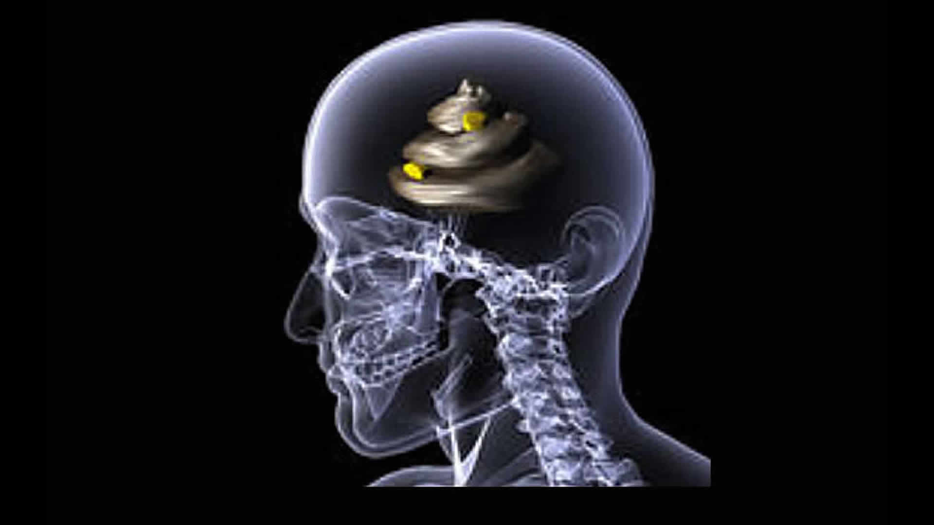 Die Merkwürdigkeiten des Crystal Palace Cats e.V. II