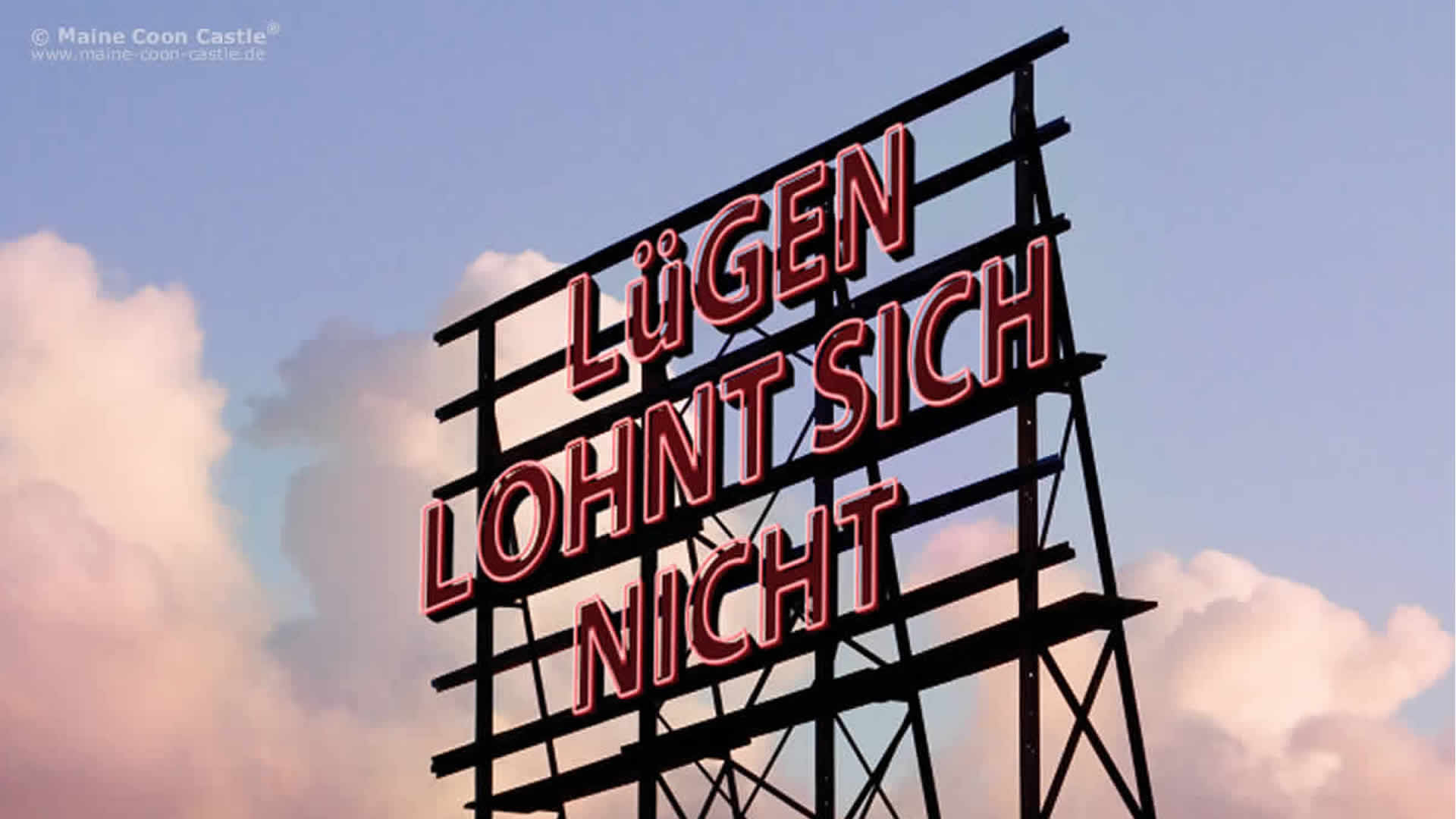 Der International Cat Federation e.V. zwischen Wunsch und Wirklichkeit