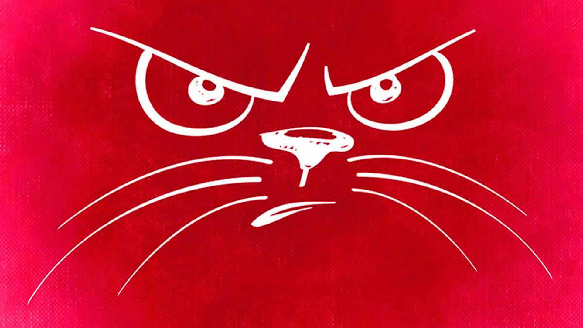 SO nicht! Die Tierklinik Dresdner Heide