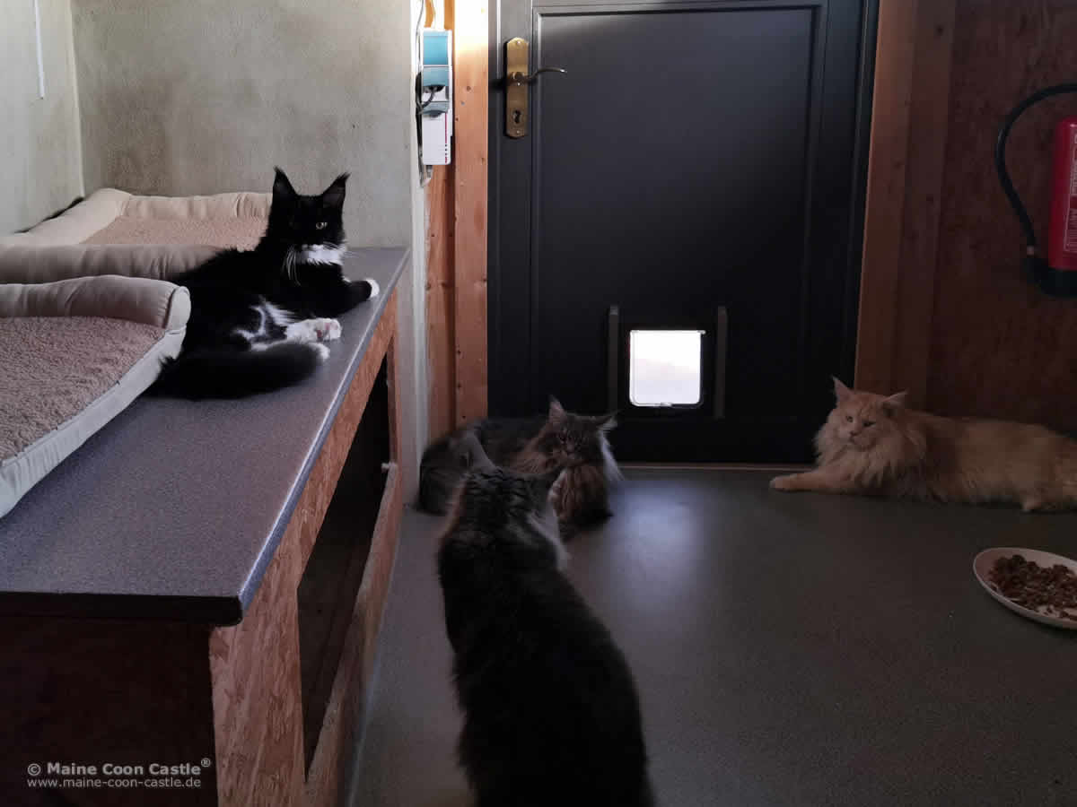 Der erste Tag geht entspannt zu Ende Der erste Tag geht entspannt zu Ende