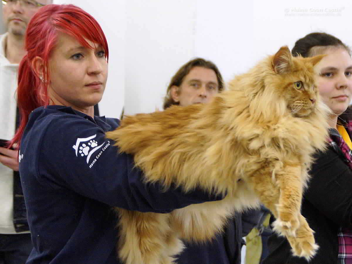 Aline mit Campino Aline mit Campino