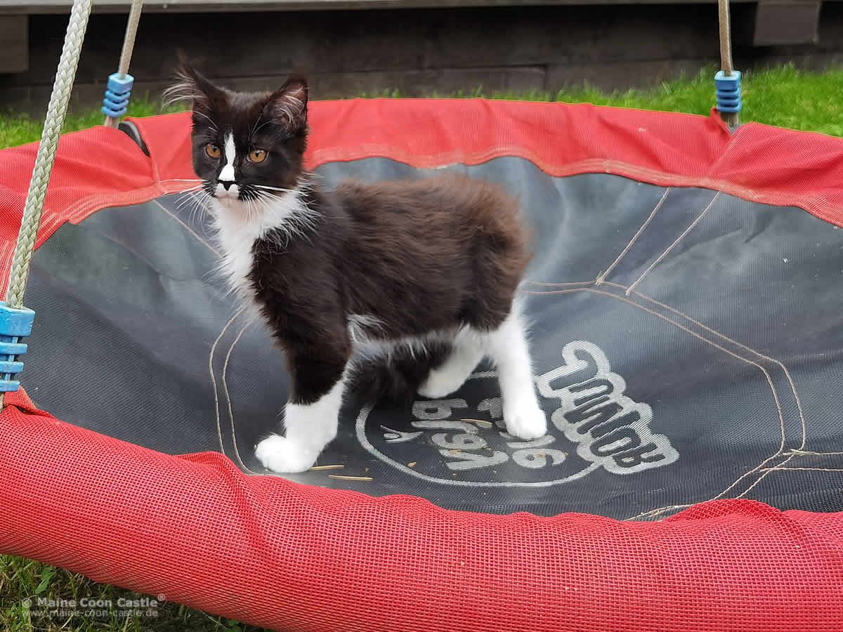 Kimmy auf dem Rummelplatz Kimmy auf dem Rummelplatz