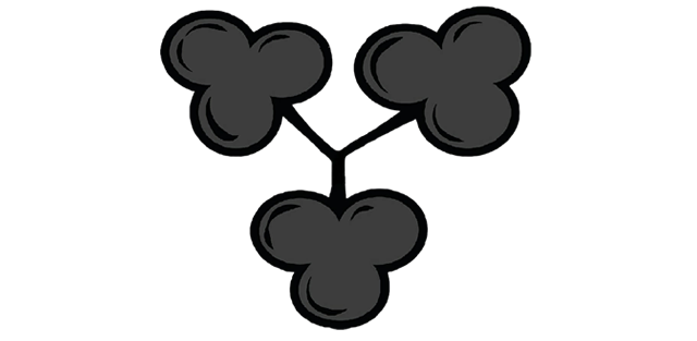 Verein Schwarzes Kleeblatt e.V.