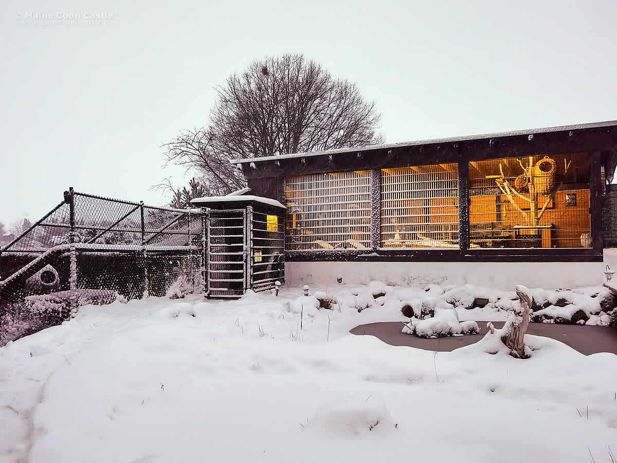 Winter Im CastleLand Januar 2023 Winter im CastleLand - Januar 2023